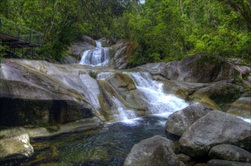 Cairns | Australia | Australian Waterfalls Tour Australian Adventure Tour  tour Lake Barrine National Park rainforest walking tour jungle trek tour