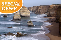 Melbourne | Australia | Great Ocean Road Tour from Melbourne Great Ocean Road tour Great Ocean Road eco tour tour Otway Ranges tour Port Campbell National Park Great Ocean small group eco tour