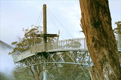 Hobart | Australia | Huon Valley Tour Tahune Forest Airwalk Huon River Valley Hobart tour