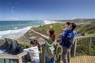 Auckland | New Zealand | full day Auckland eco - tour Auckland eco - tour Auckland Day Tour Auckland Tour
