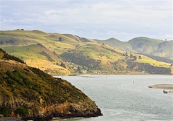 Dunedin | New Zealand |