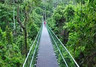 Roatan | Honduras |