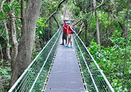 Roatan | Honduras |