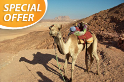 Sharm el Sheikh | Egypt | Sharm el-Sheikh Bedouin Dinner tour Sharm el-Sheikh Bedouin Dinner Bedouin Dinner tour Bedouin tour desert tour