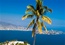 Acapulco | Mexico |