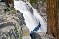 Photo of Lake Tahoe | Lake Tahoe Waterfall Helicopter Tour