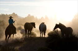 Las Vegas | USA | Ol' Spanish Trail horseback riding tour Las Vegas horseback riding tour Las Vegas tour Old Spanish Trail tour