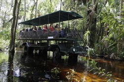 Photo of Orlando | Orlando EcoSafari Adventure Tour