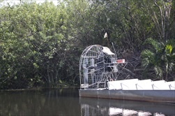 Photo of Orlando | Orlando Airboat Adventure