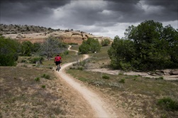 Photo of Denver | Full Day Mountain Biking Tour in the Rocky Mountains