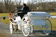 Photo of Lake Tahoe | Lake Tahoe Carriage Ride