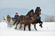 Photo of Lake Tahoe | Lake Tahoe Sleigh Ride