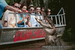 New Orleans | USA | New Orleans Swamp Tour New Orleans Swamp Day Tour New Orleans Honey Island Swamp Day Tour New Orleans Cajun Swamp Day Tour