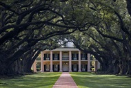 New Orleans | USA | New Orleans Plantation Tour New Orleans Laura Plantation Tour New Orleans Oak Alley Tour New Orleans Oak Alley Plantation Tour