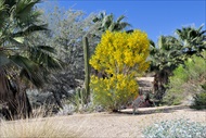 Photo of Palm Springs | Small Group Jeep Tour of the San Andreas Fault